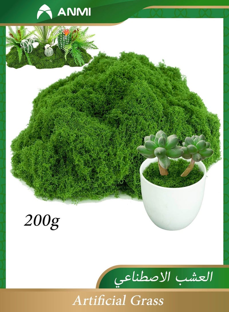 Anmi 200g Dark Green Artificial Moss Fake Moss, Artificial Grass for Indoor Plants, DIY Crafts, Fairy Garden, Potted Decor, Model Making, Glass Containers & Home Wall Decoration - Image 1